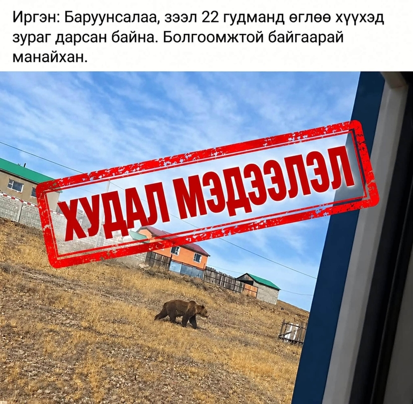 Хиймэл оюун ухаанаар баавгайн хуурамч зураг бүтээж, худал мэдээлэл түгээсэн иргэнд хариуцлага тооцлоо